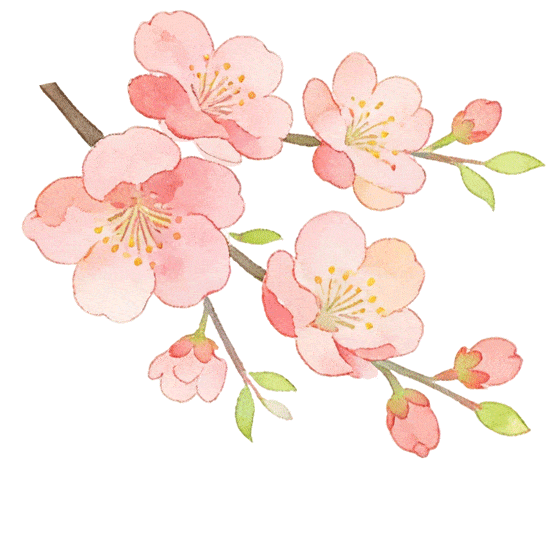 清明高速免费3天,7座及以下小车全免