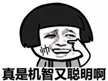 司机变造车牌想躲违章摄像头，结果把自己送进了监狱