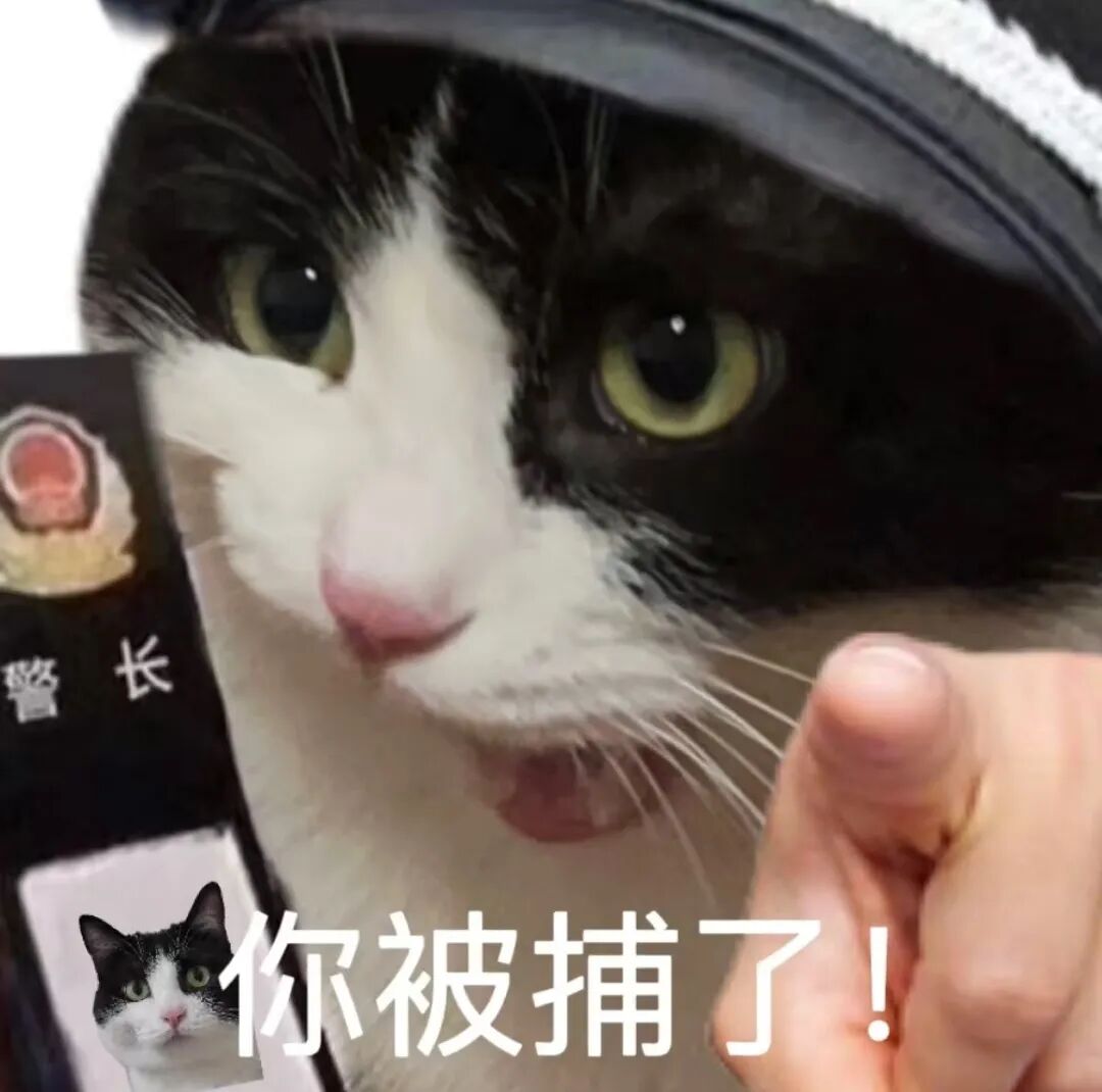 山东郓城凌晨严查超载大货车,这个违章高发城市动真格了