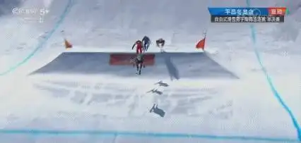 想知道冬奥会有啥比赛项目?快来看看都有啥精彩赛事