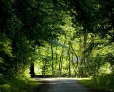 湖南少数民族高考加分 最新政策速查